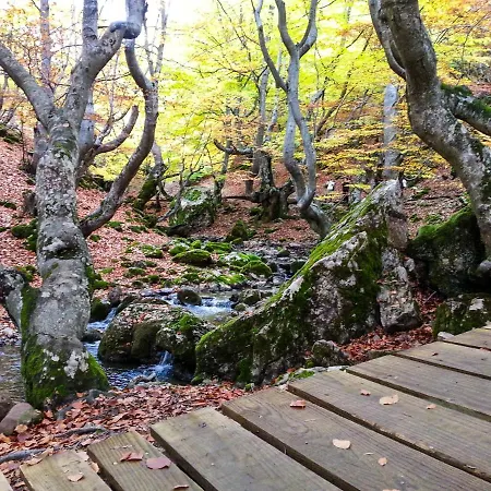 Pensión El Molino De La Ropería *